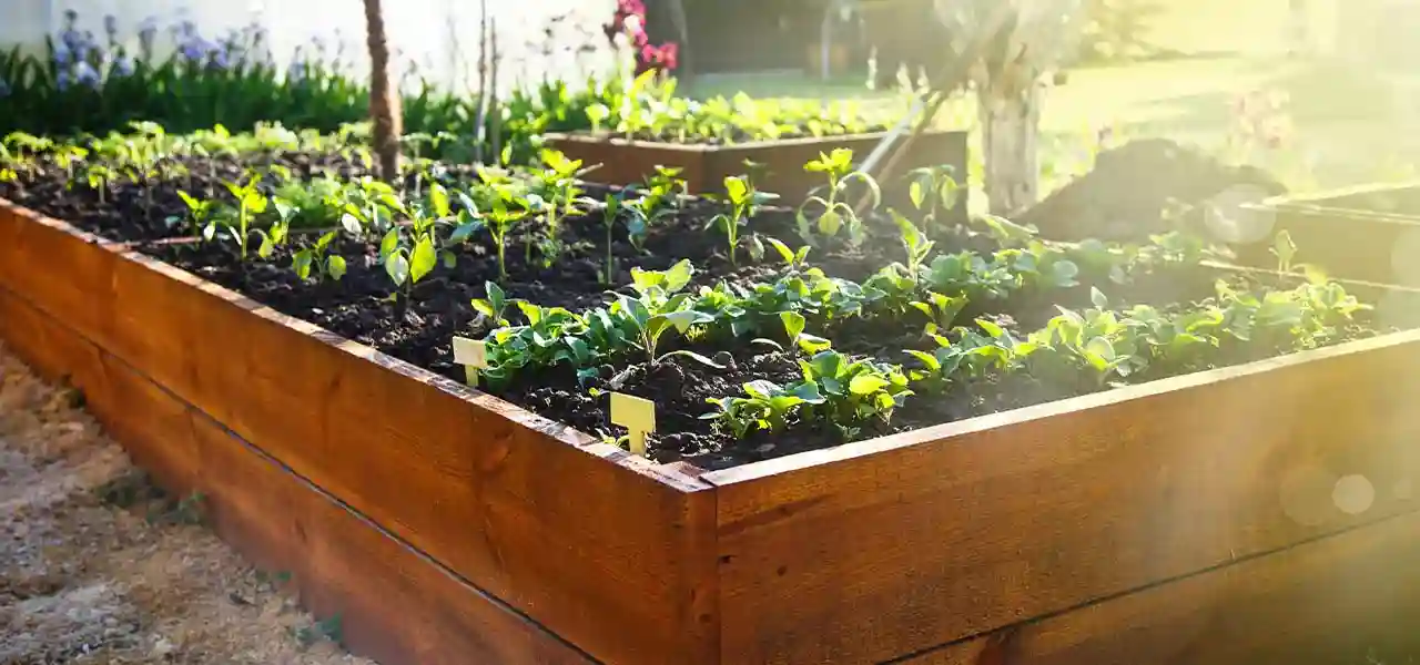 🌱 Záhrada a pestovanie