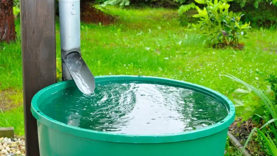 ♻️ Ekológia a udržateľnosť