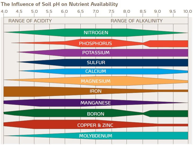 🌱 Záhrada a pestovanie