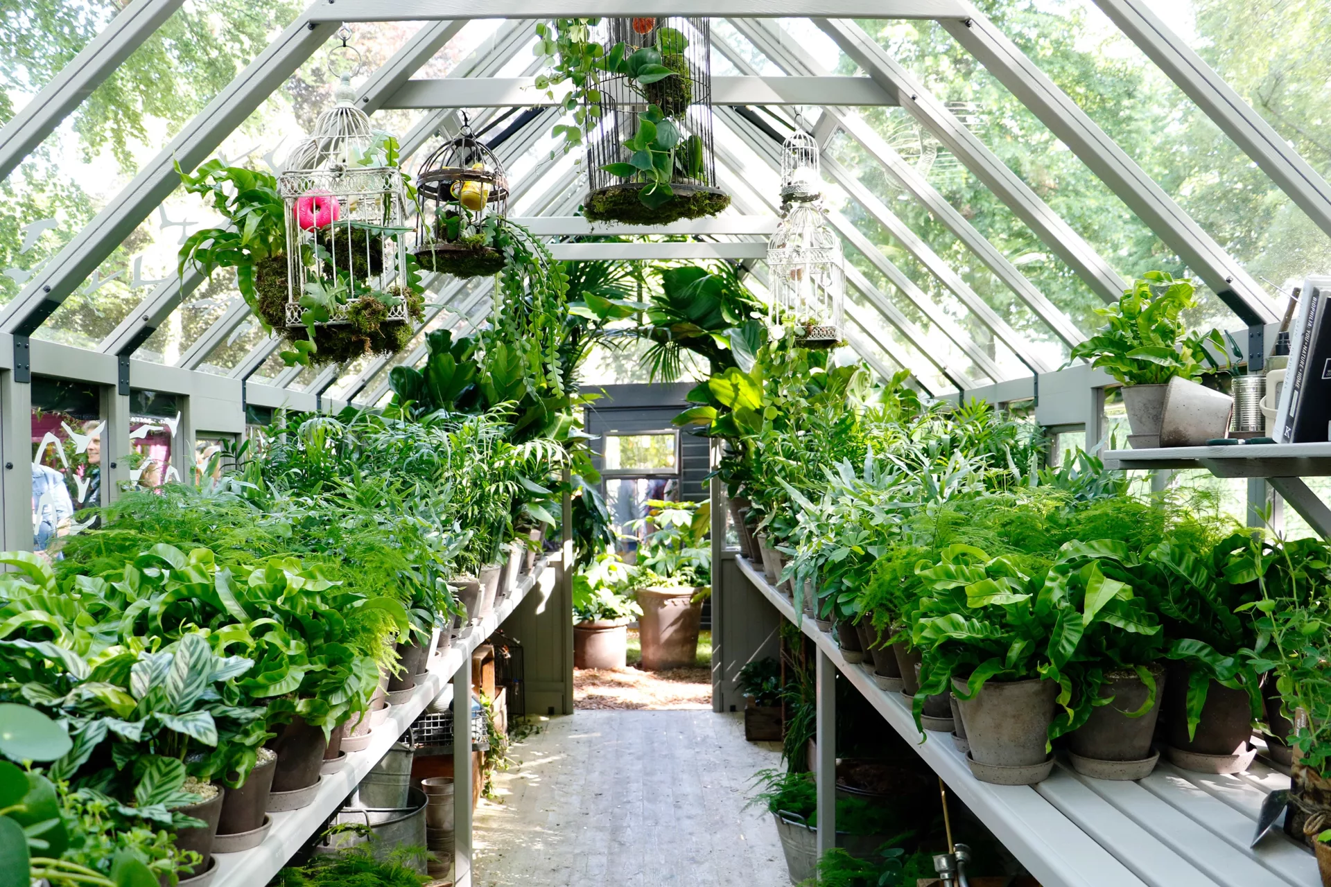 🌱 Záhrada a pestovanie
