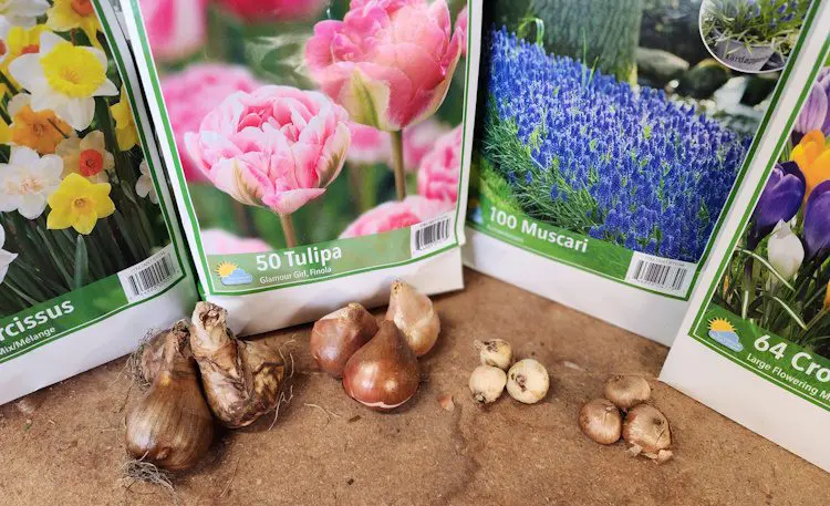 🌱 Záhrada a pestovanie