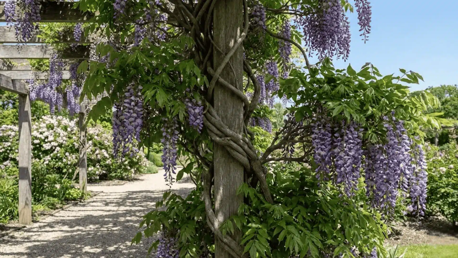 🌱 Záhrada a pestovanie