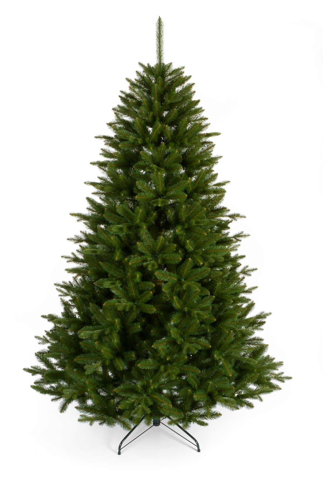 Smrek Šumavský poliehavý 240 cm