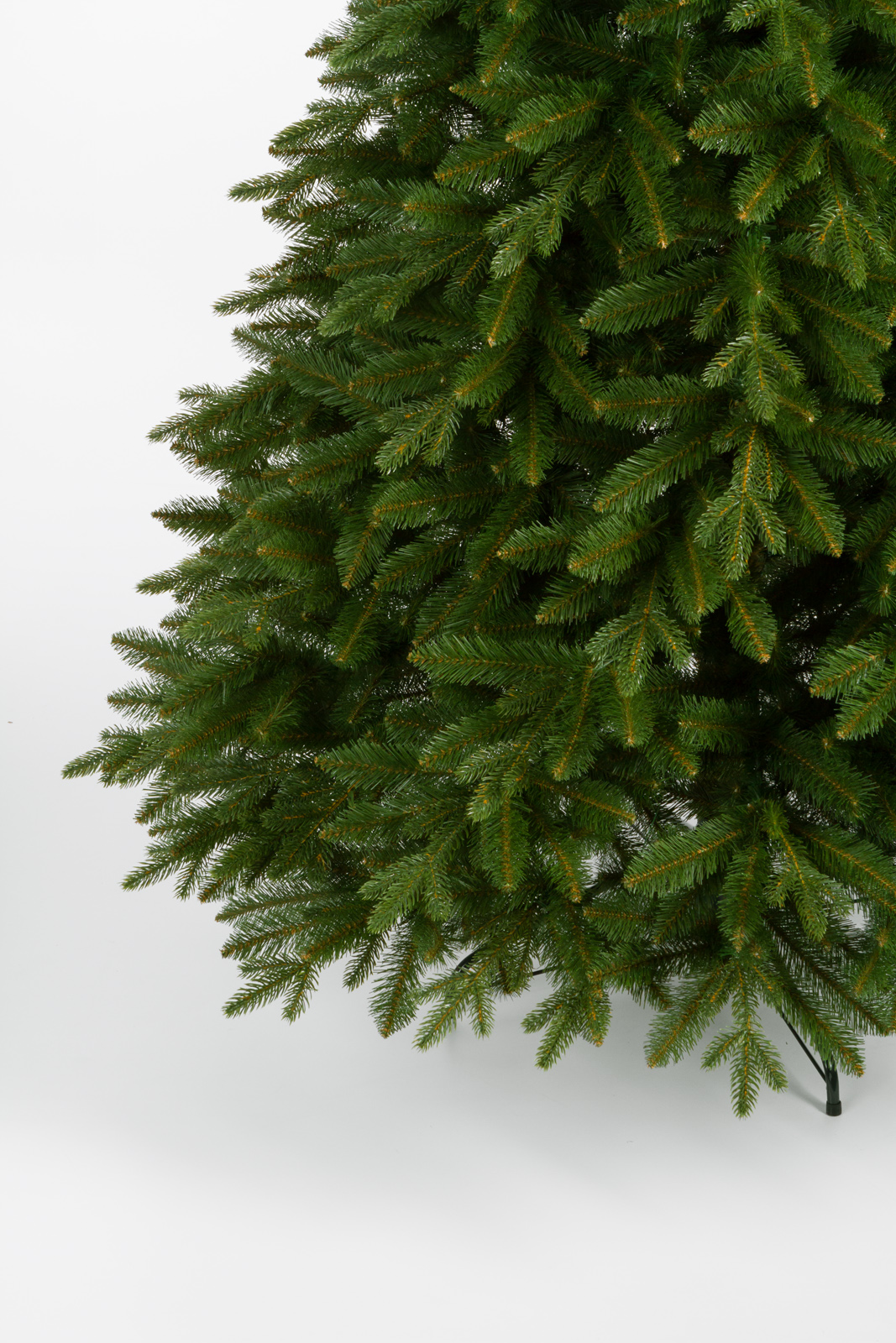 Smrek Šumavský poliehavý 240 cm