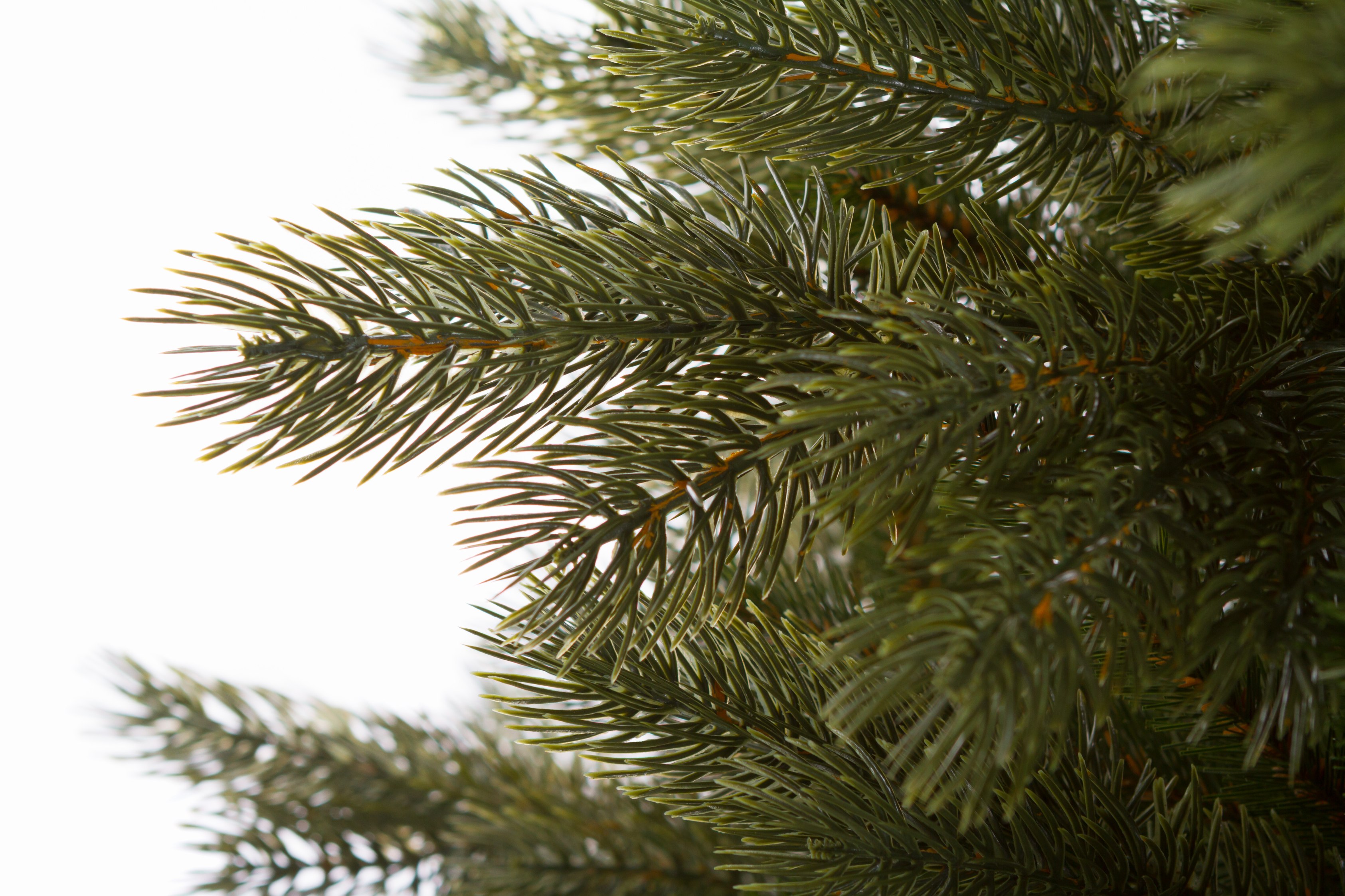 3Darbo umelá vianočná borovica Strážovská 180 cm