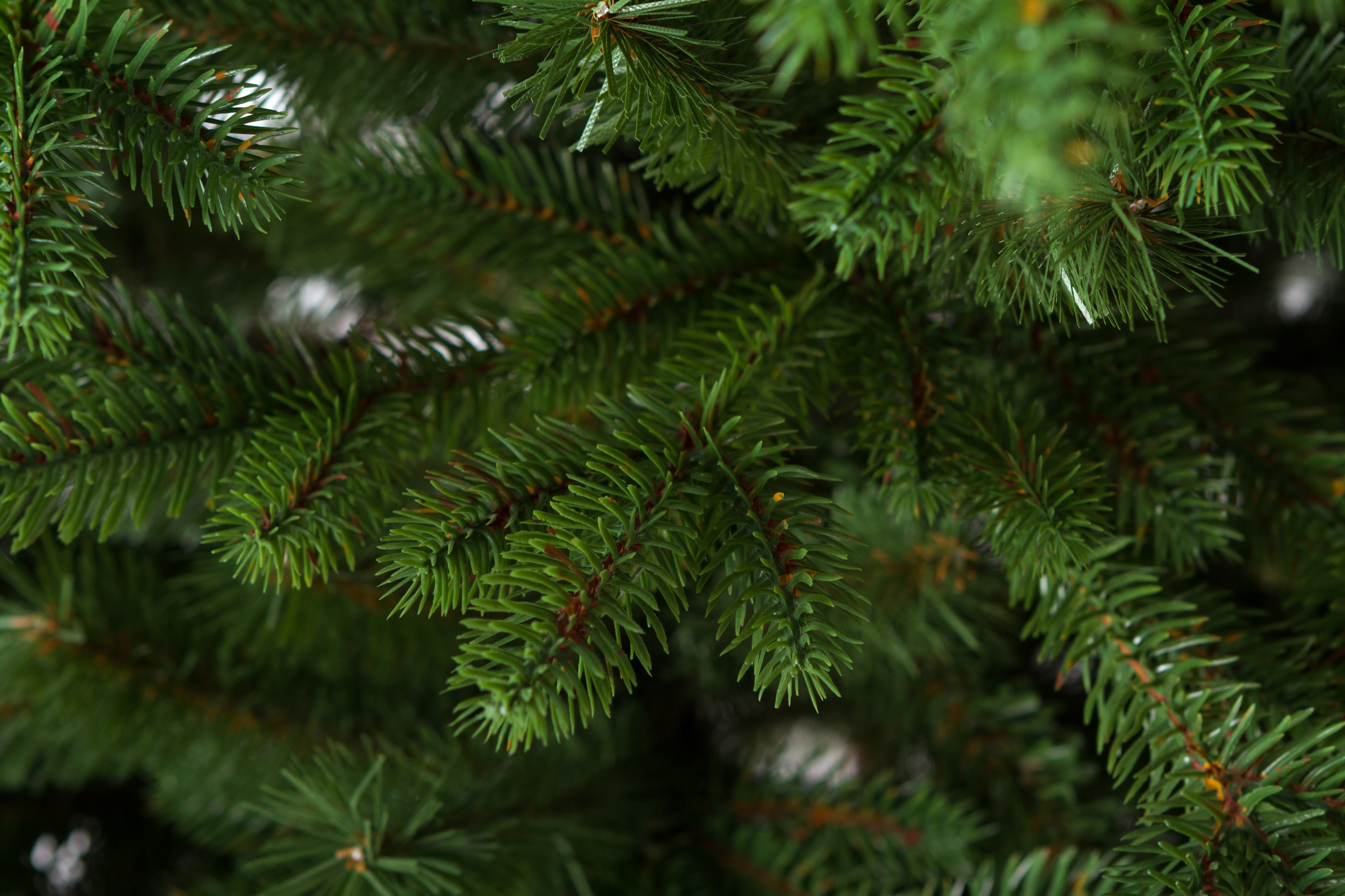 Smrek Vihorlat Umelý vianočný stromček 100 % FULL 3D XL 240 cm