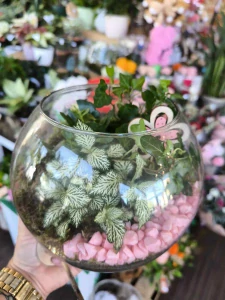 Floralium, výsadba mix kvietkov 