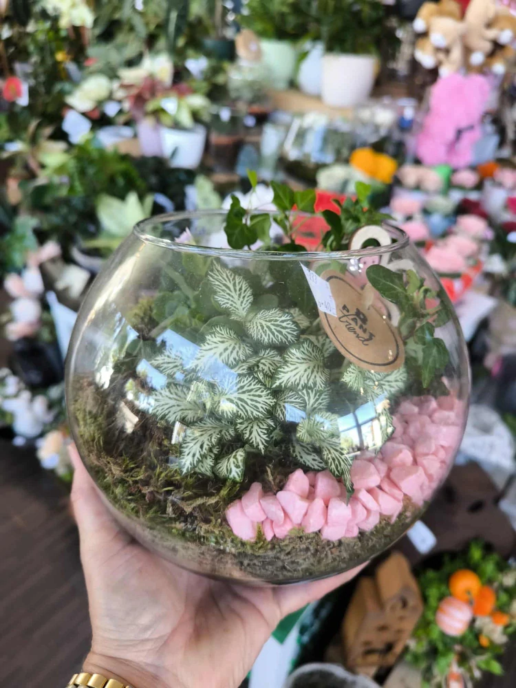 Floralium, výsadba mix kvietkov 