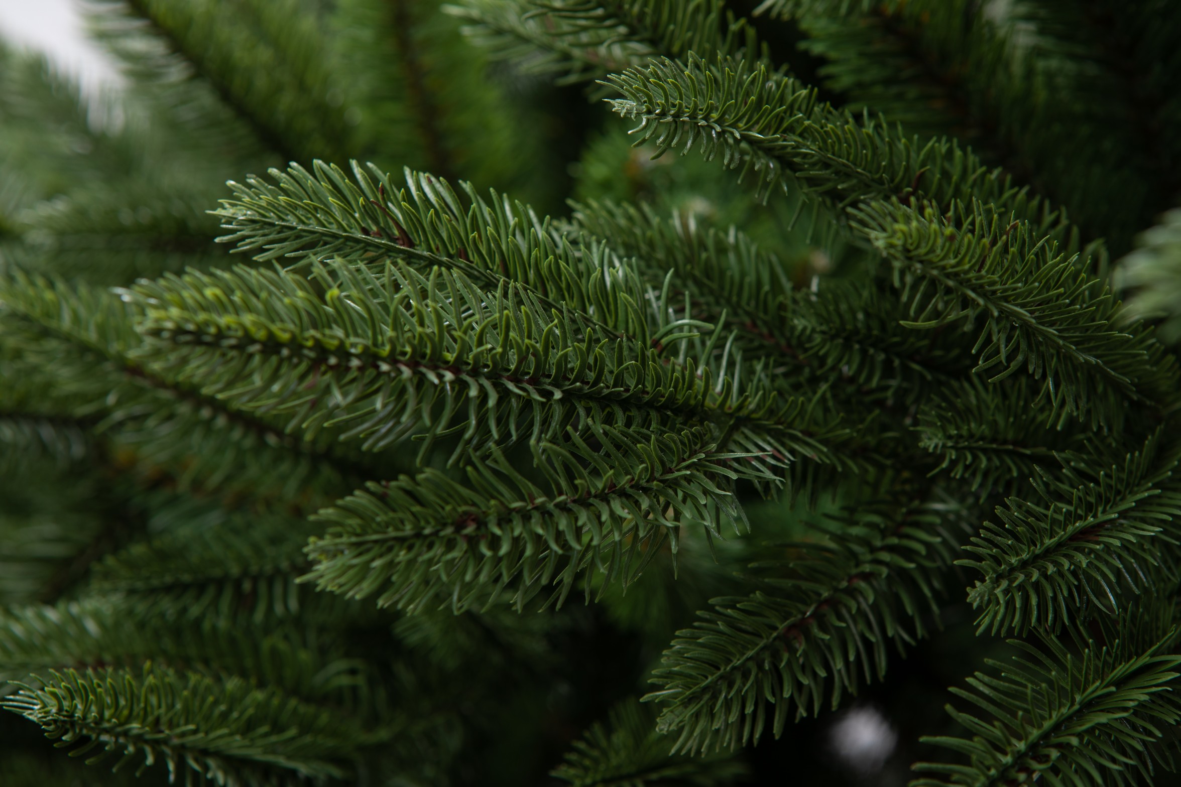 Umelý Smrek Omorikový 100% FULL 3D Vianočný stromček 220 cm