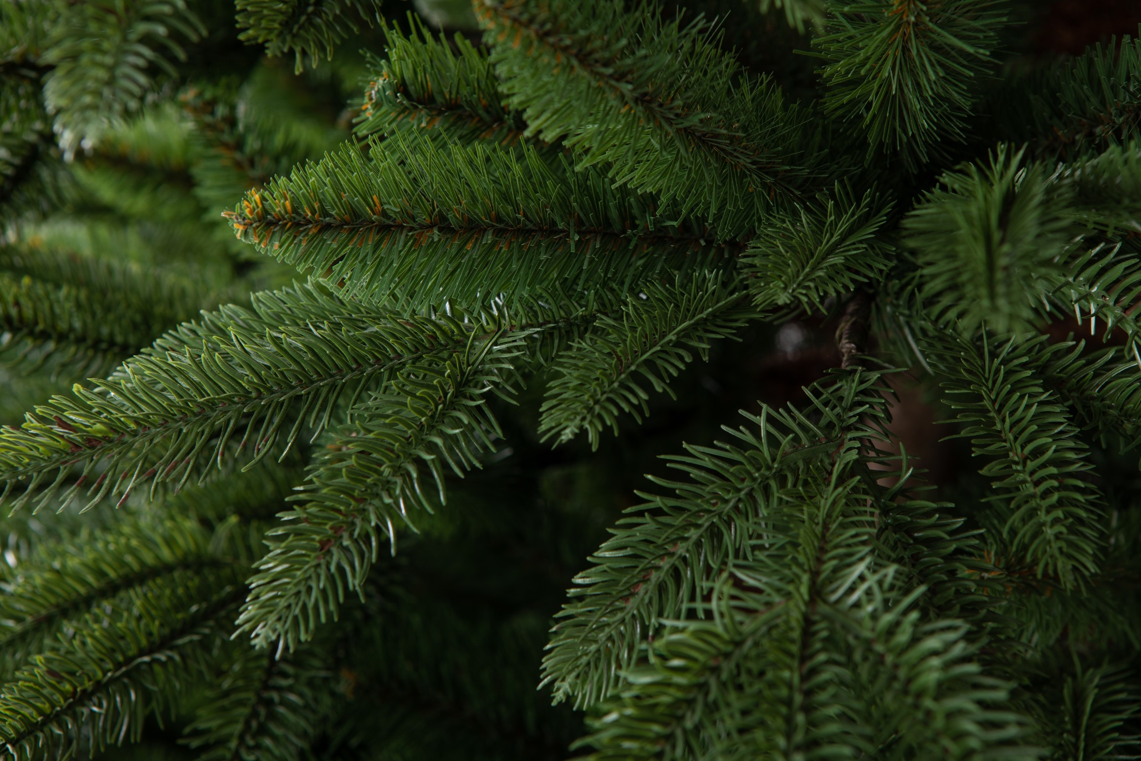 Umelý Smrek Omorikový 100% FULL 3D Vianočný stromček 220 cm